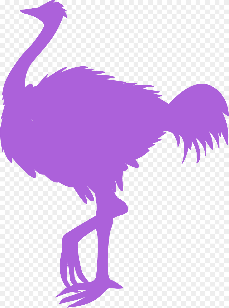 Ostrich Silhouette, Animal, Bird, Person Png Image