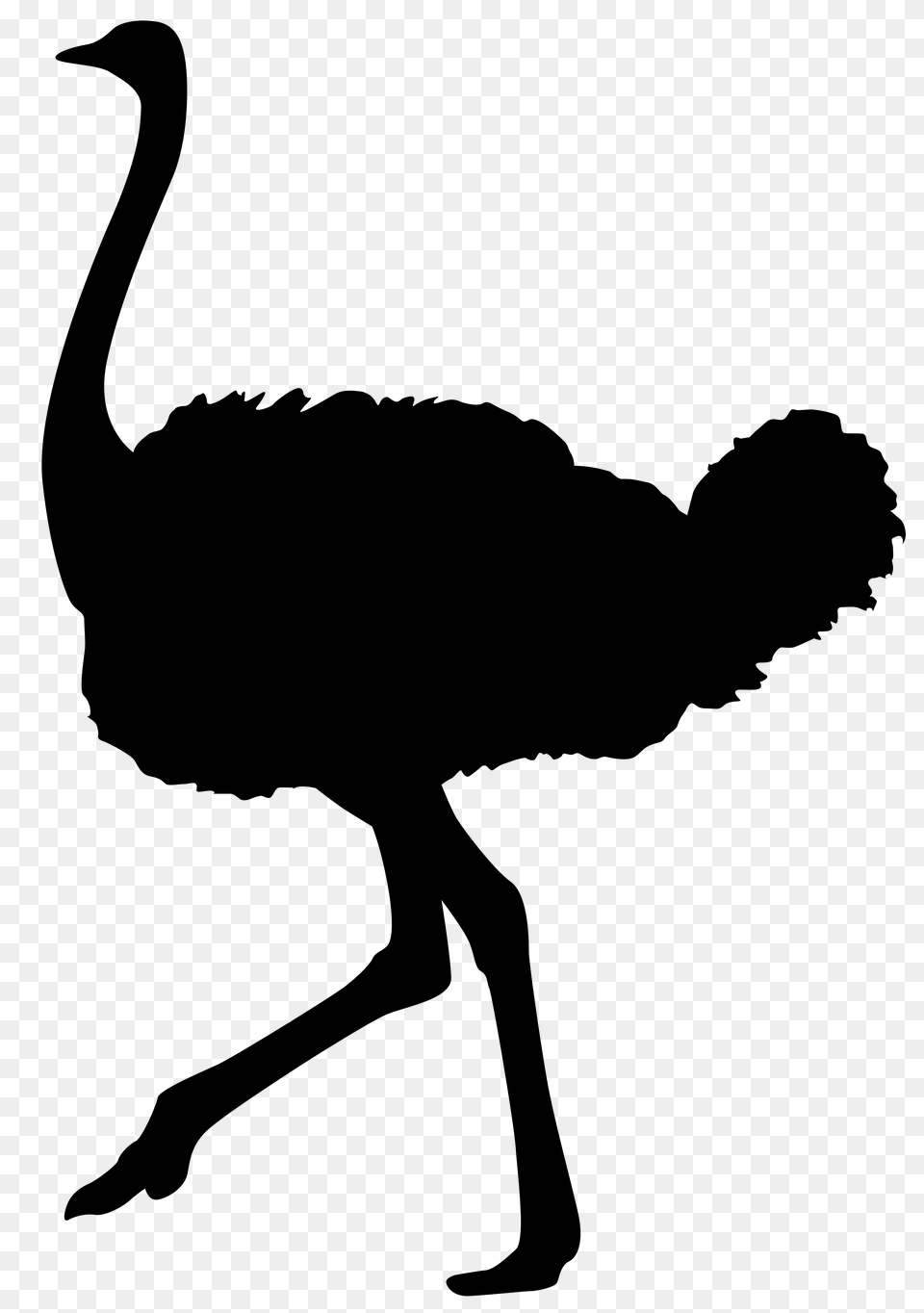 Ostrich Silhouette Transparent Clip Art Gallery, Cross, Symbol Png