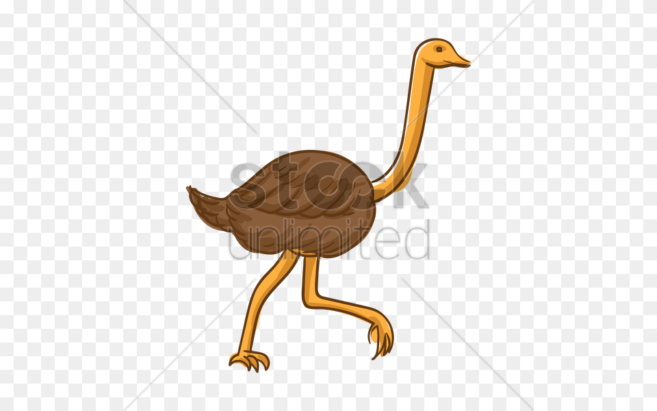 Ostrich Vector Image, Animal, Bird, Beak, Bow Free Png