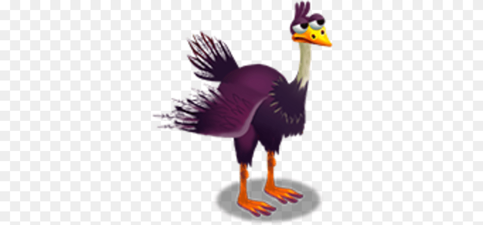 Ostrich Zoocraft Wiki Fandom Ostrich, Animal, Beak, Bird, Person Png