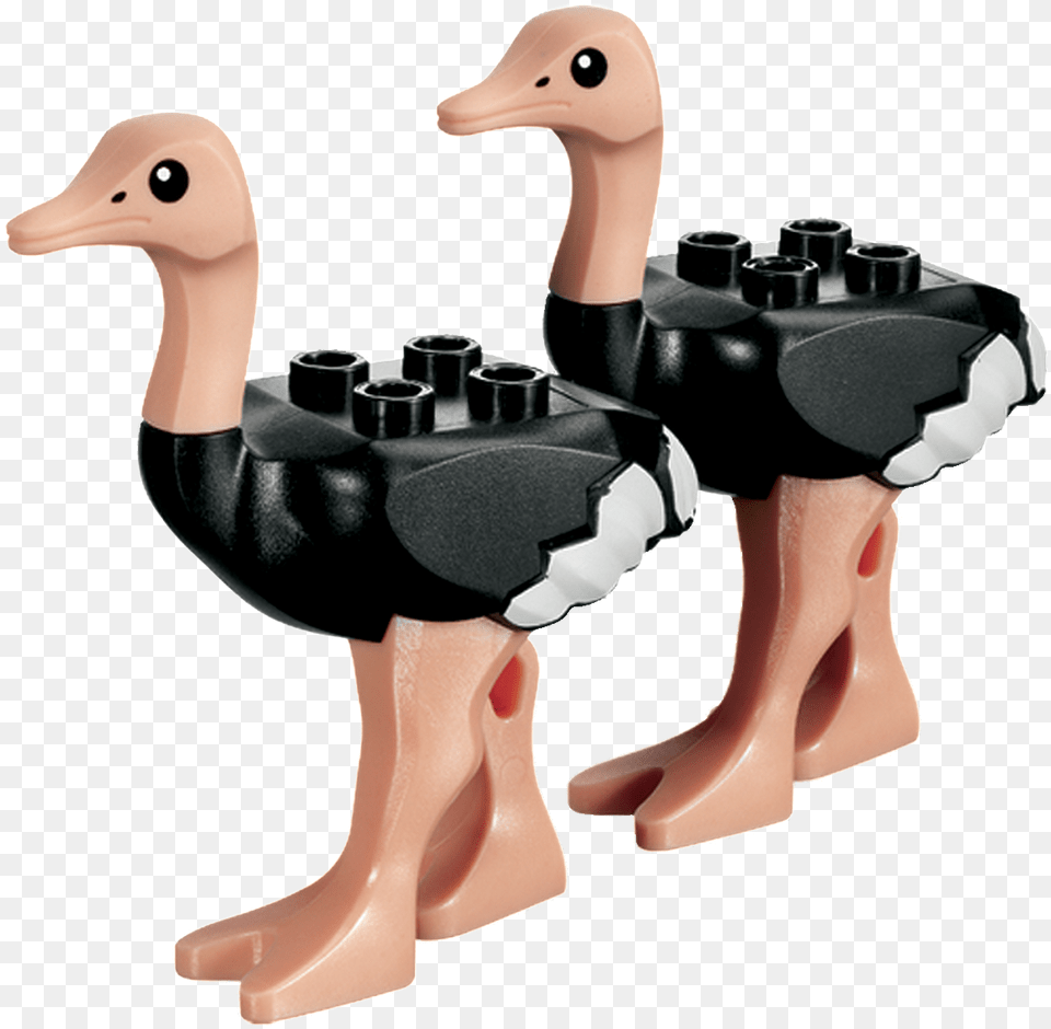 Ostrichs Lego Ostrich, Animal, Bird, Adult, Female Free Transparent Png