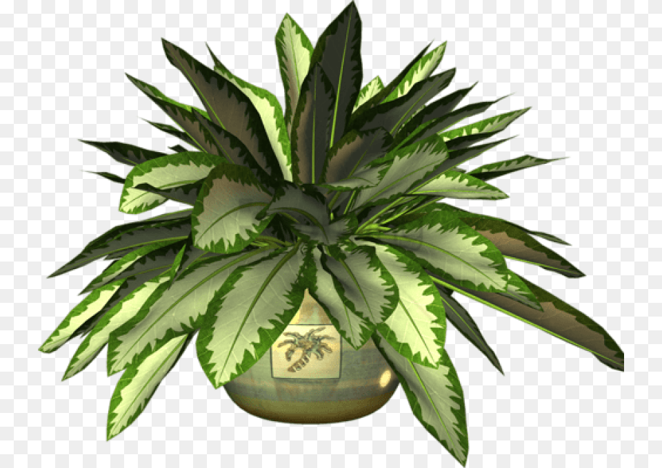 Ot Plant Clipart Botany Agave Azul, Potted Plant, Leaf, Vase, Pottery Free Png