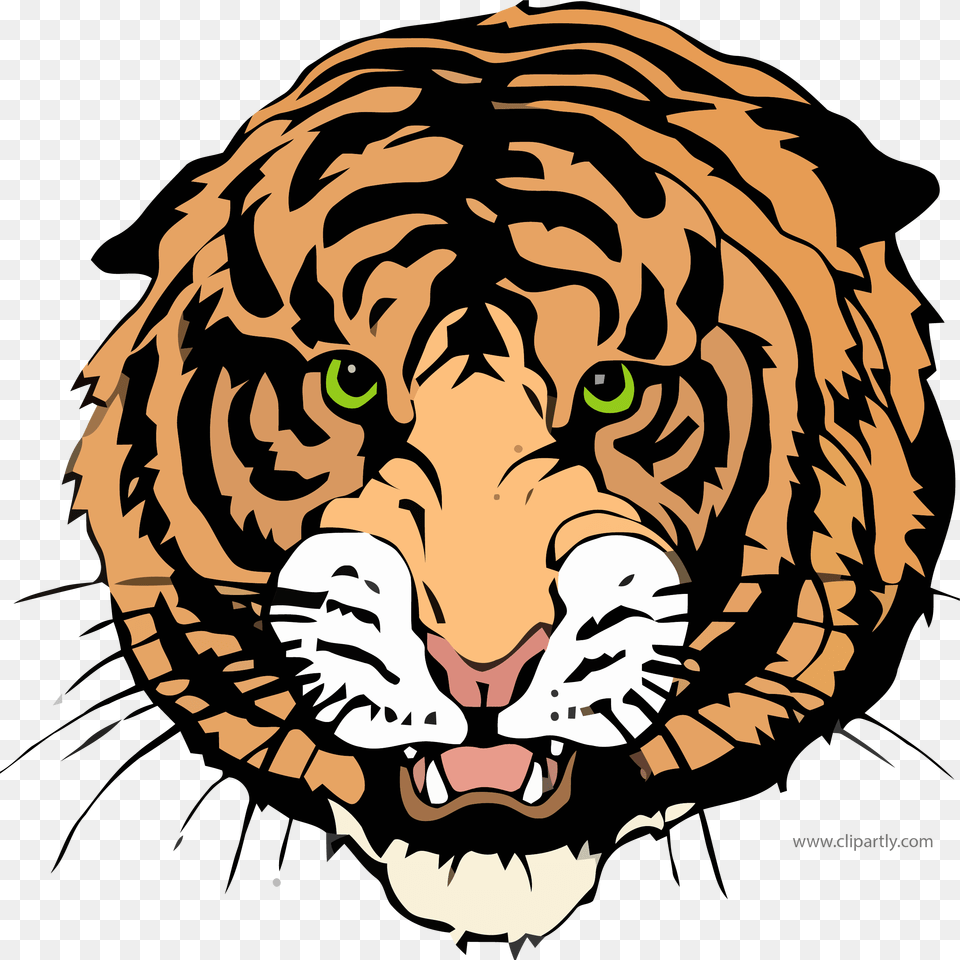 Other Tigger Face Clipart Image Trenton High School Tiger, Baby, Person, Animal, Lion Free Png Download