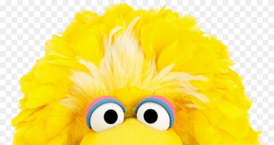 Other Ways To Support Us Sesame Workshop Soft, Plush, Toy Png Image