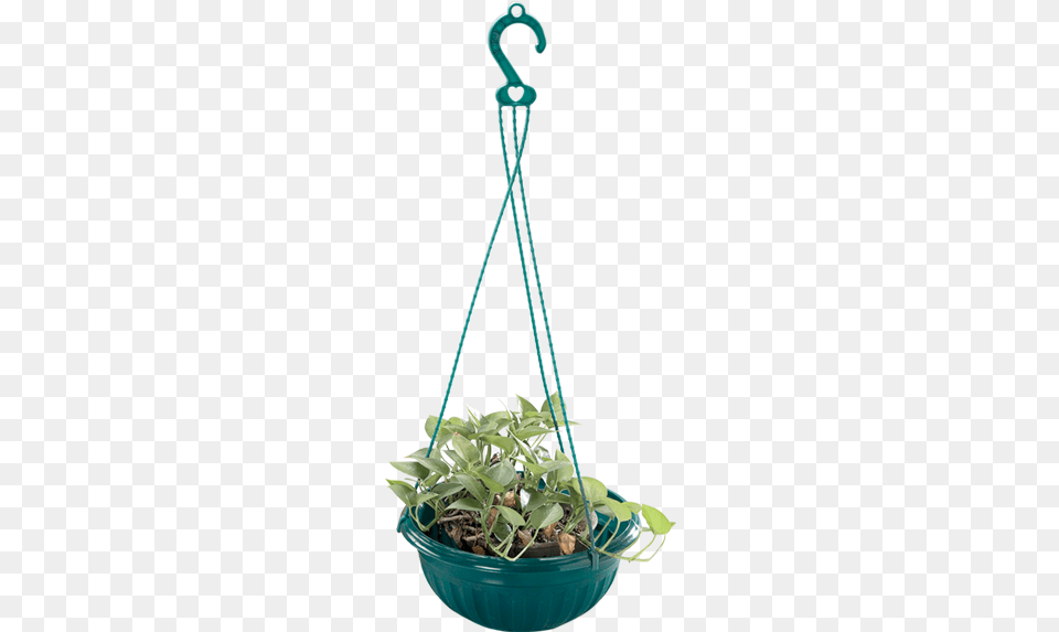 Others E 519 9 Hanging Flower Pot Flower For Container Transparent, Jar, Plant, Planter, Potted Plant Png Image