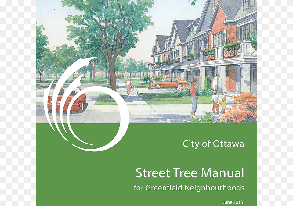 Ottawa Street Tree Manual For Greenfield Development Tree Free Transparent Png