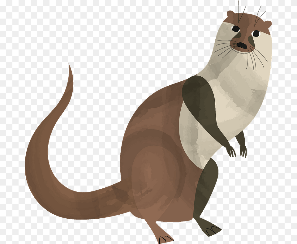 Otter, Animal, Mammal, Wildlife, Cat Png