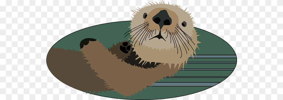 Otter Animal, Mammal, Wildlife, Bear Free Transparent Png