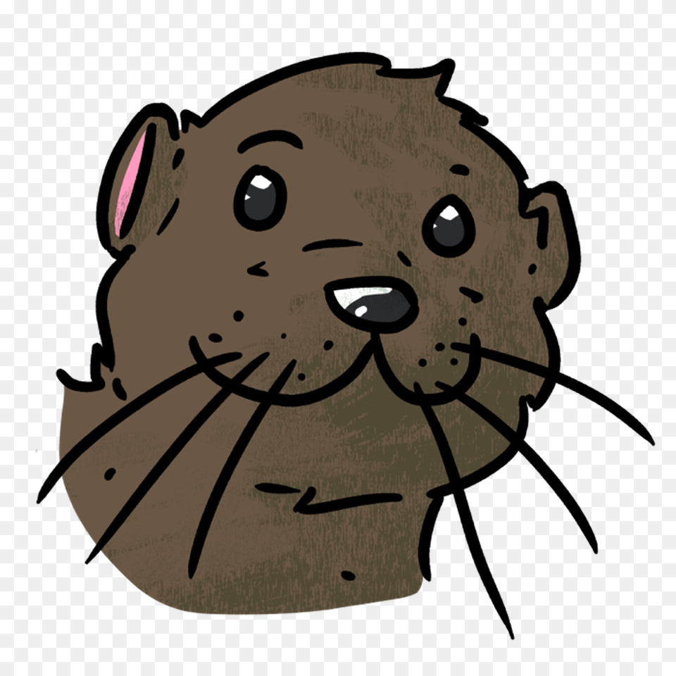 Otter, Baby, Person, Animal, Mammal Free Transparent Png
