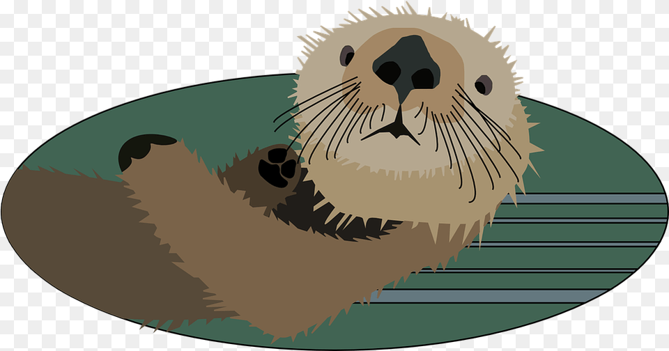 Otter Animal Mammal Free Vector Graphic On Pixabay Sea Otter Clipart Cute, Wildlife, Bear, Fish, Sea Life Png