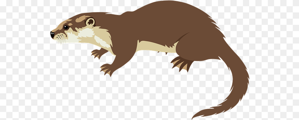 Otter Animal Wildlife Free Vector Graphic On Pixabay Otter Cartoon, Mammal, Fish, Sea Life, Shark Png Image
