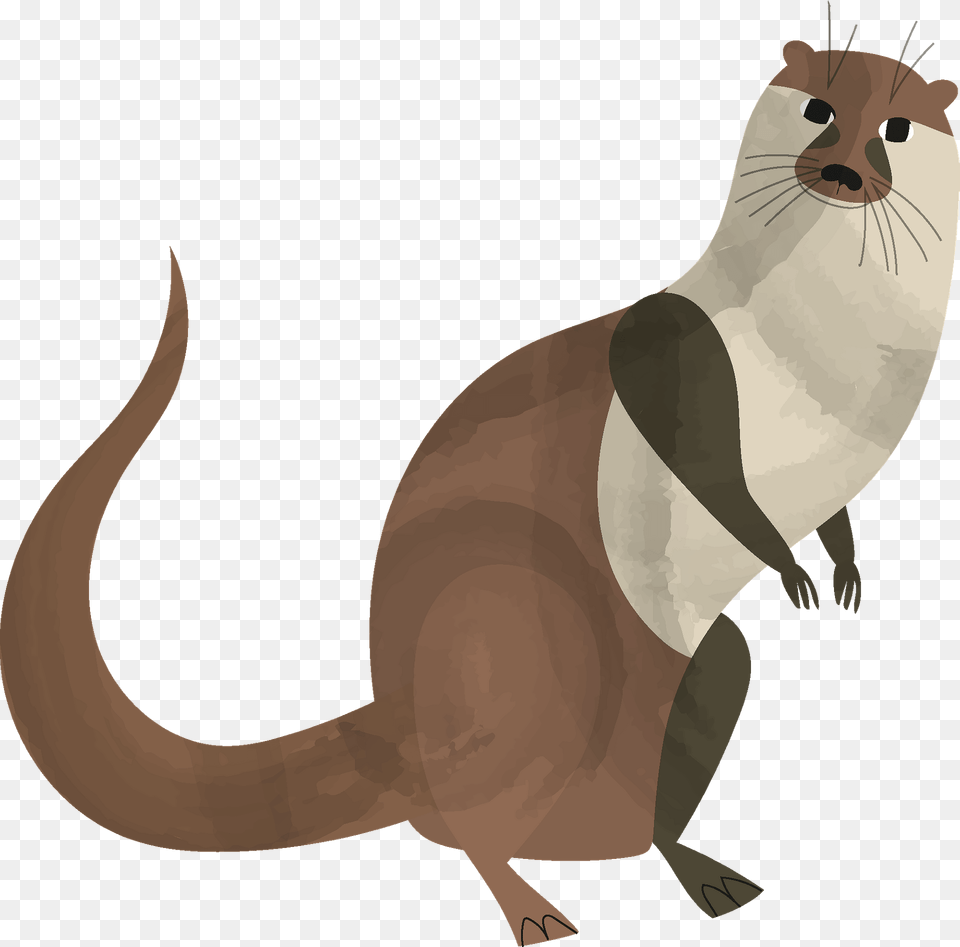 Otter Clipart, Animal, Mammal, Wildlife, Kangaroo Free Png