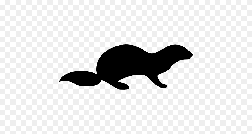 Otter Photos, Silhouette, Animal, Fish, Sea Life Png