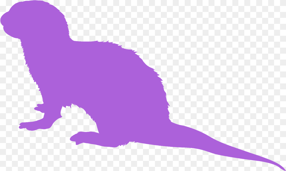 Otter Silhouette, Animal, Baby, Person, Mammal Free Png Download