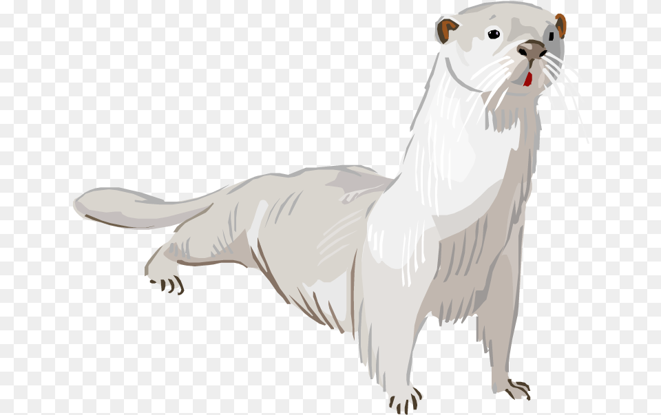 Otter Transparent Ferret, Animal, Mammal, Wildlife, Bear Png