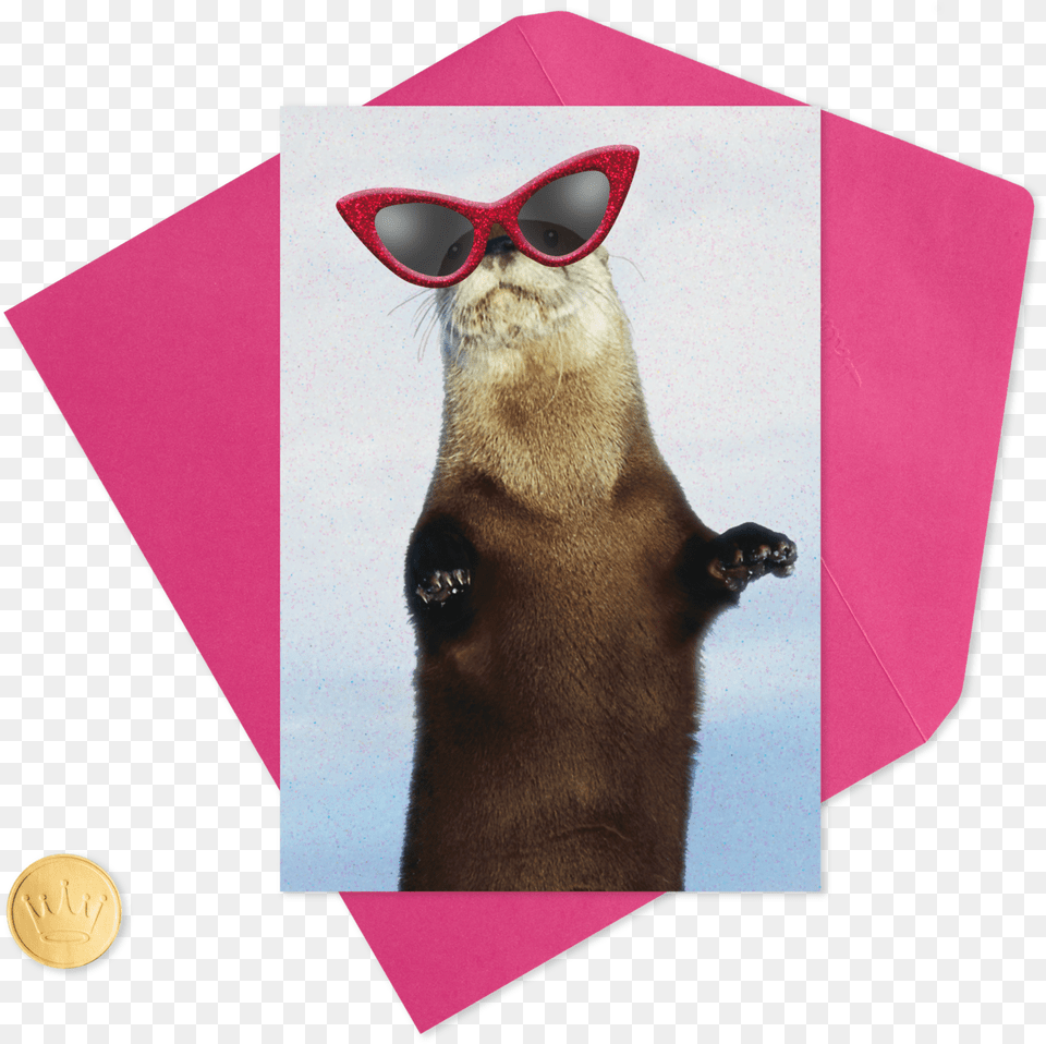 Otter Wearing Sunglasses Funny Valentine39s Day Funny Sunglasses, Accessories, Animal, Canine, Dog Png