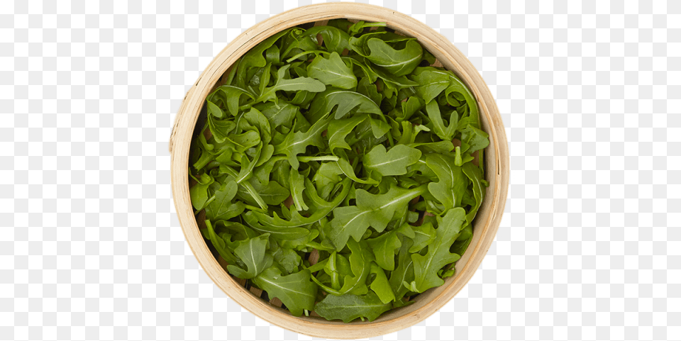 Ounce Flowerpot, Arugula, Food, Leafy Green Vegetable, Plant Png Image