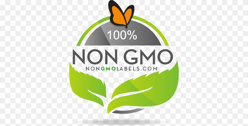 Our 100 Organic All Natural Non Gmo Food Market Was, Green, Leaf, Plant, Ammunition Free Png