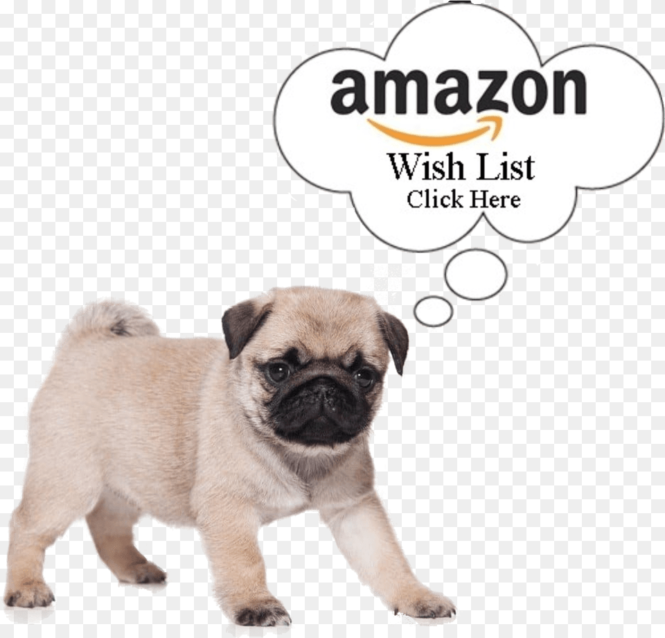 Our Amazon Wishlist Anatomy Of A Doggo, Animal, Canine, Dog, Mammal Free Png