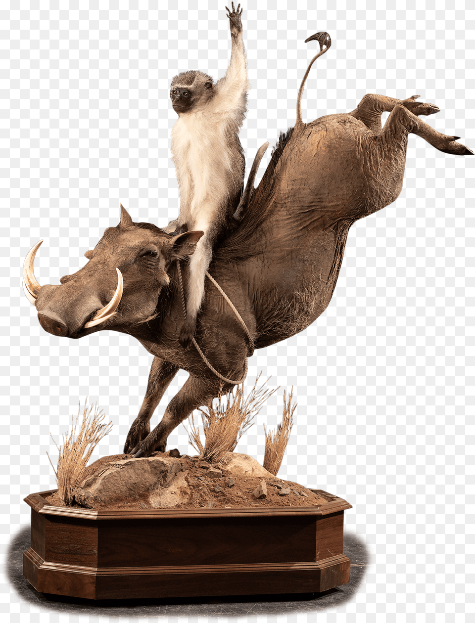 Our Animal Figure, Mammal, Warthog, Wildlife, Wood Free Png