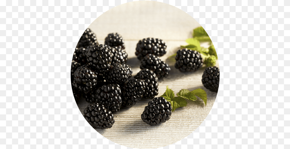 Our Berries The Fresh Berry Company Boysenberry, Food, Fruit, Plant, Produce Free Transparent Png