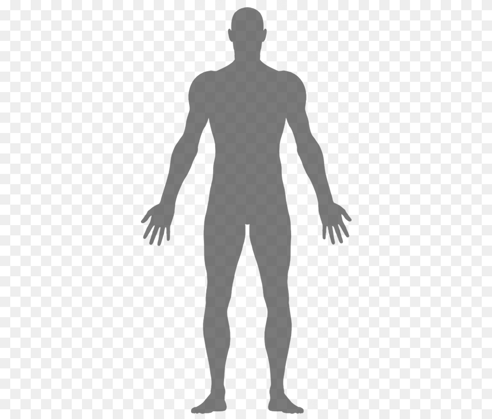 Our Bodies Electro Interstitial Scan, Adult, Male, Man, Person Png