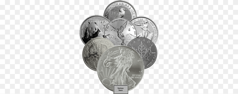 Our Choice 1oz Silver Coin Investment Market Quarter, Adult, Wedding, Person, Woman Free Transparent Png