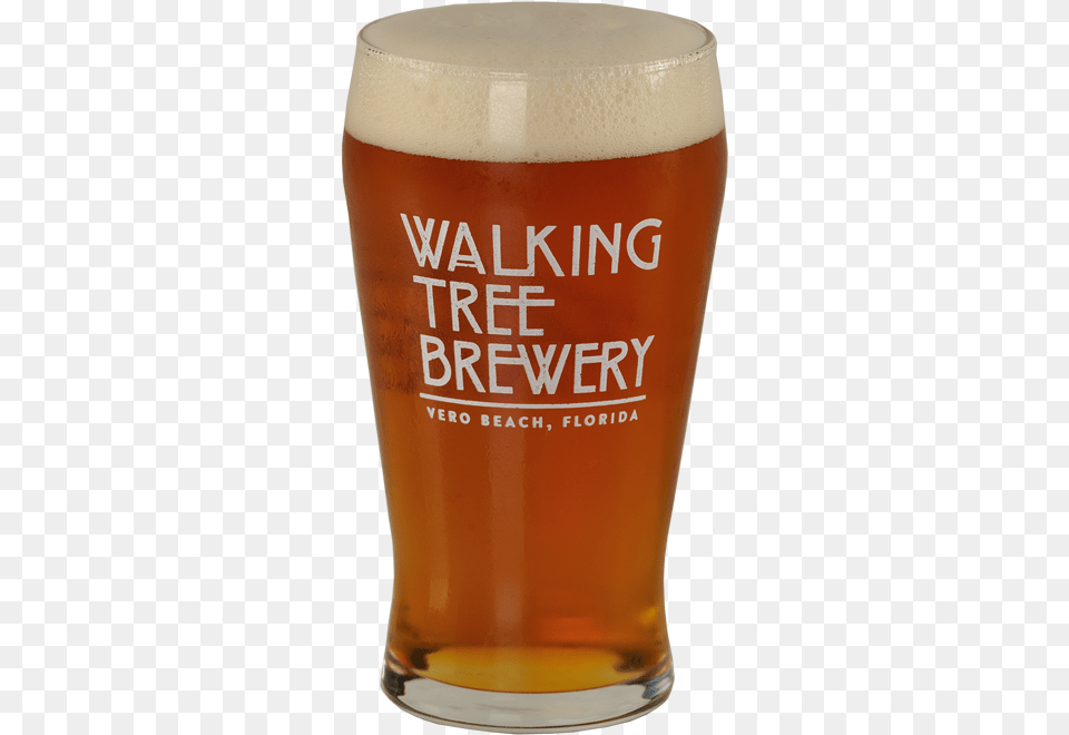 Our Craft Beer Walking Tree Brewery Guinness, Alcohol, Beer Glass, Beverage, Glass Png