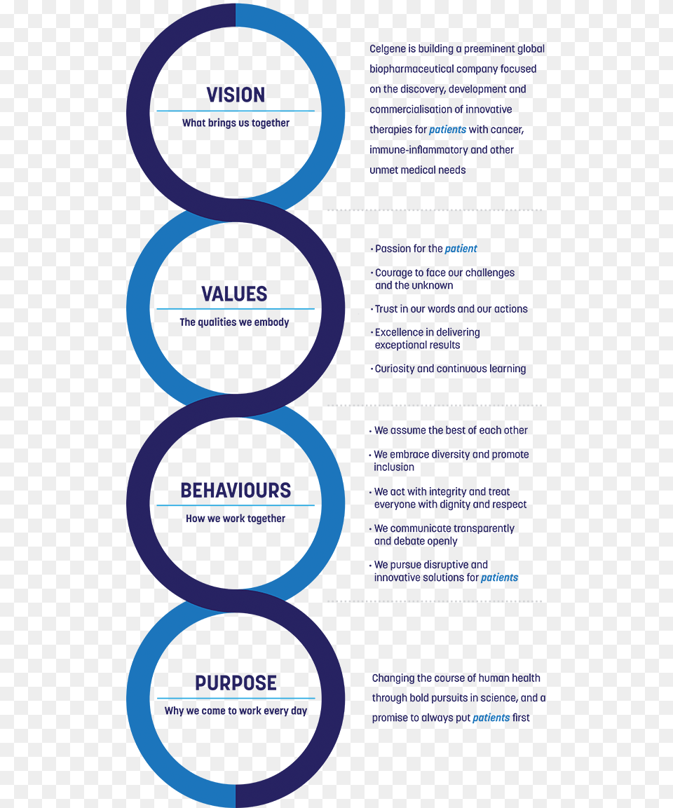 Our Culture Vertical Banner Vision Values Behaviours, Oars, Person Free Transparent Png