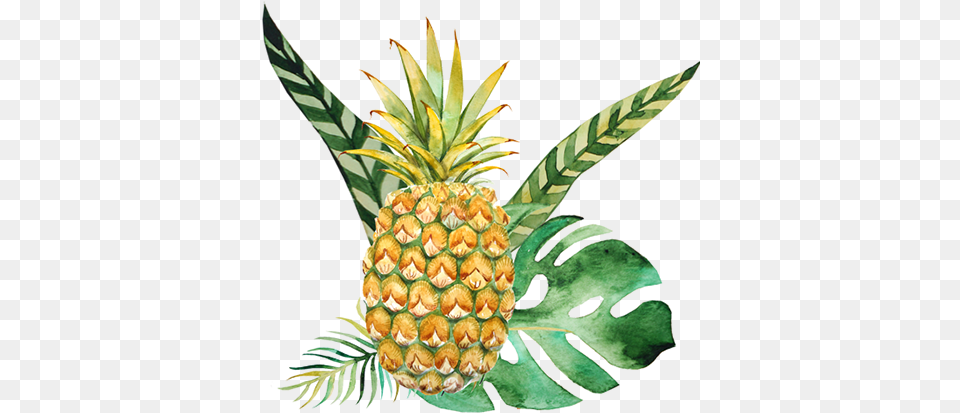 Our Customer Service Reps Will Shop Your Grocery Orders Pineapple Fronds Throw Blanket, Food, Fruit, Plant, Produce Free Png