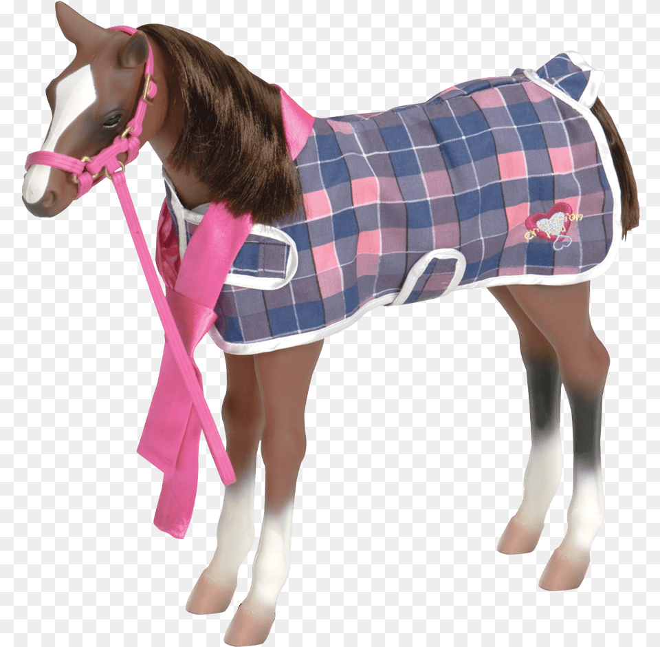 Our Generation Quarter Foal, Person, Animal, Mammal, Horse Png Image