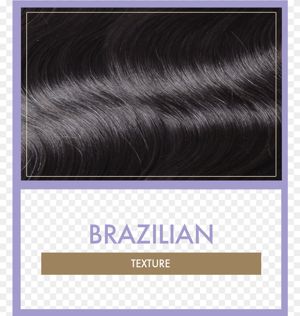 Our Hair Comes In Textures From Different Origins Brusselmans Van Drie Tot Zes, Black Hair, Person, Adult, Female Free Transparent Png