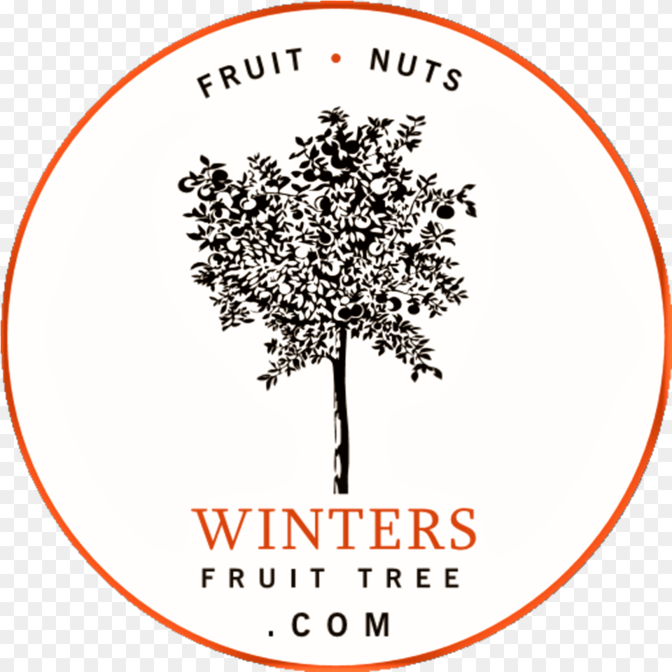 Our History U2014 Winters Fruit Tree, Plant, Photography, Book, Publication Free Png Download