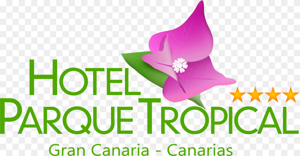 Our Hotel Hotel Parque Tropical, Art, Clothing, Graphics, Hat Free Png