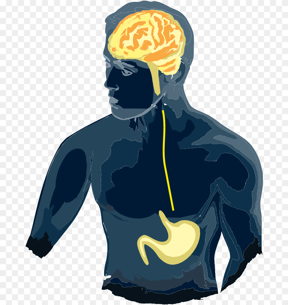 Our Lab39s Primary Research Focus Is The Neurobiology Brain Gut Irritable Bowel Syndrome, Adult, Person, Man, Male Free Transparent Png