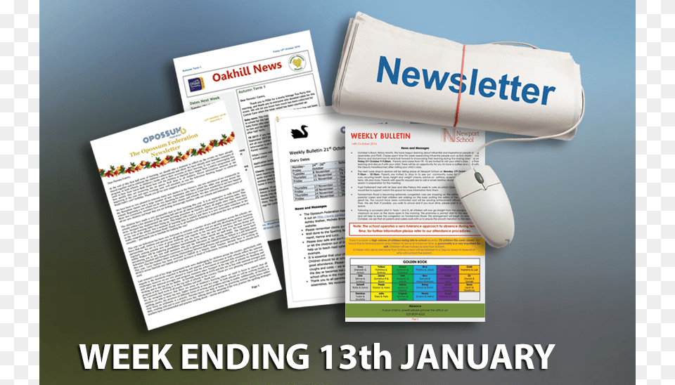 Our Latest Newsletters Flyer, Advertisement, Page, Poster, Text Free Transparent Png