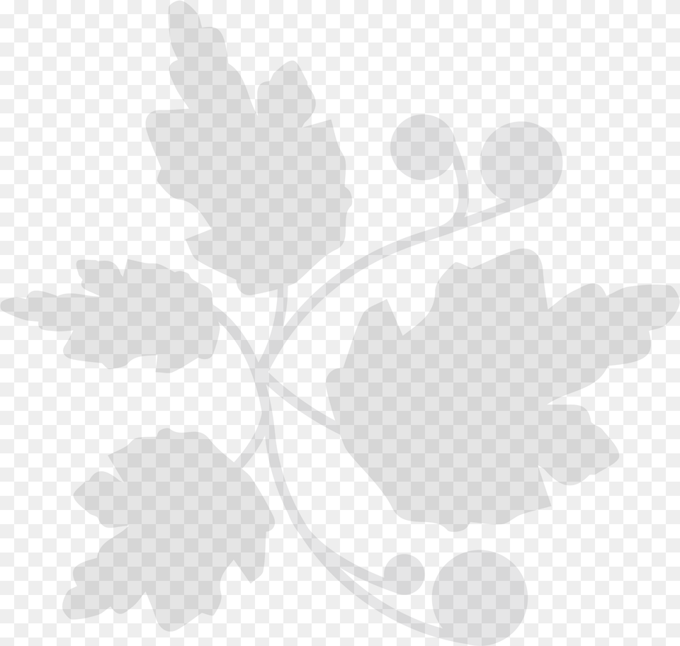 Our Life Illustration, Art, Floral Design, Graphics, Pattern Free Png Download