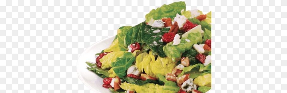 Our Menu Salad For A Menu, Food, Lettuce, Plant, Produce Png Image