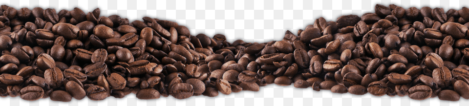 Our Mission Coffee Bean, Cocoa, Dessert, Food, Beverage Free Png Download