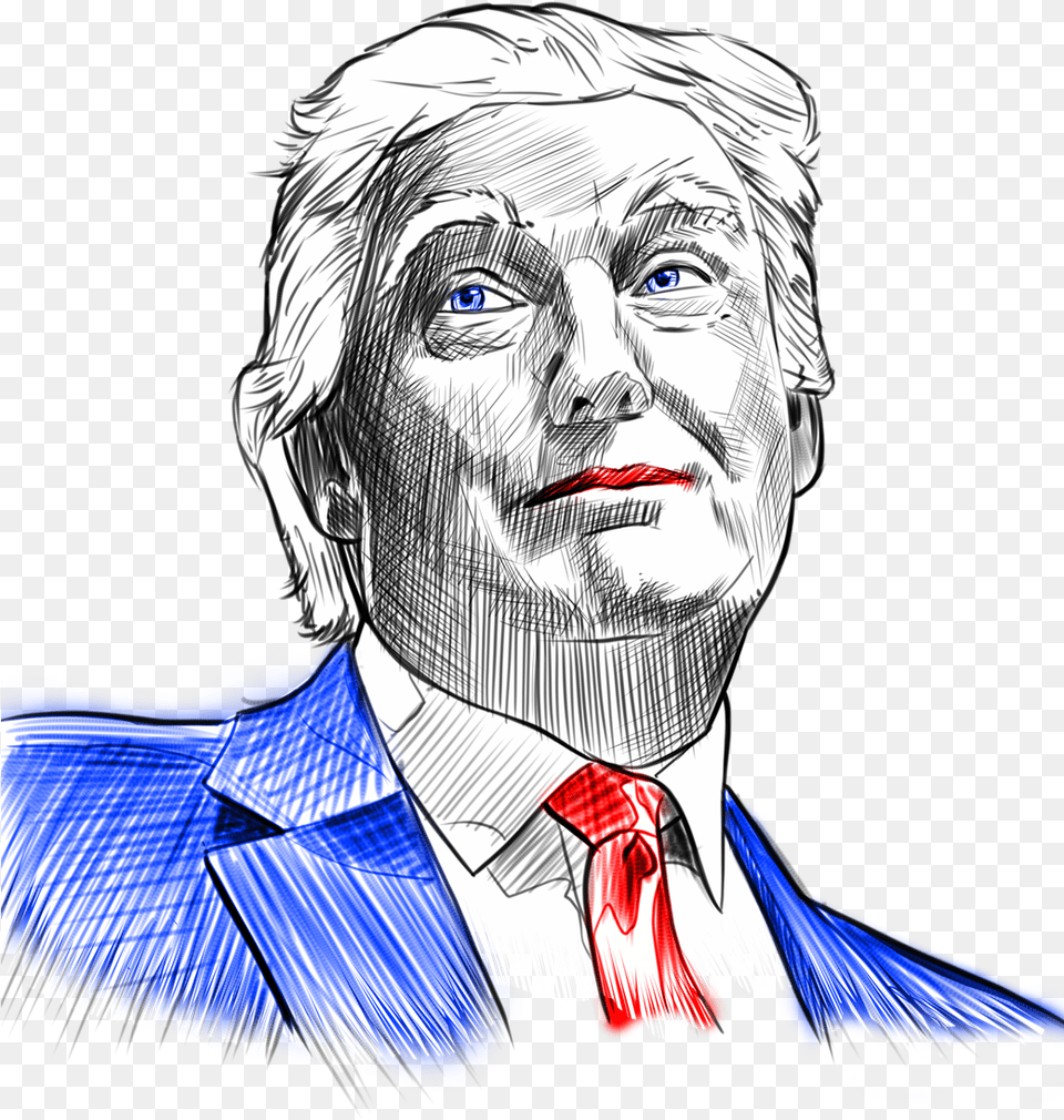 Our Priority Is To Present Donald Trump With A Romanian Donald Trump Sketch, Adult, Person, Man, Male Free Png Download
