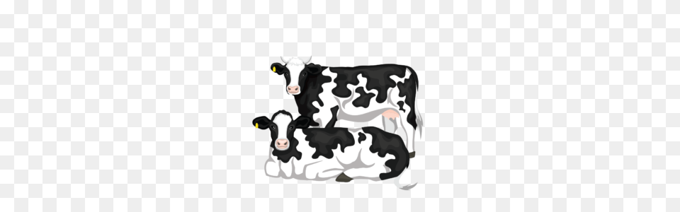 Our Process, Animal, Cattle, Cow, Dairy Cow Free Png Download