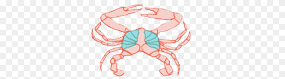 Our Product Cancer, Animal, Crab, Food, Invertebrate Free Png Download