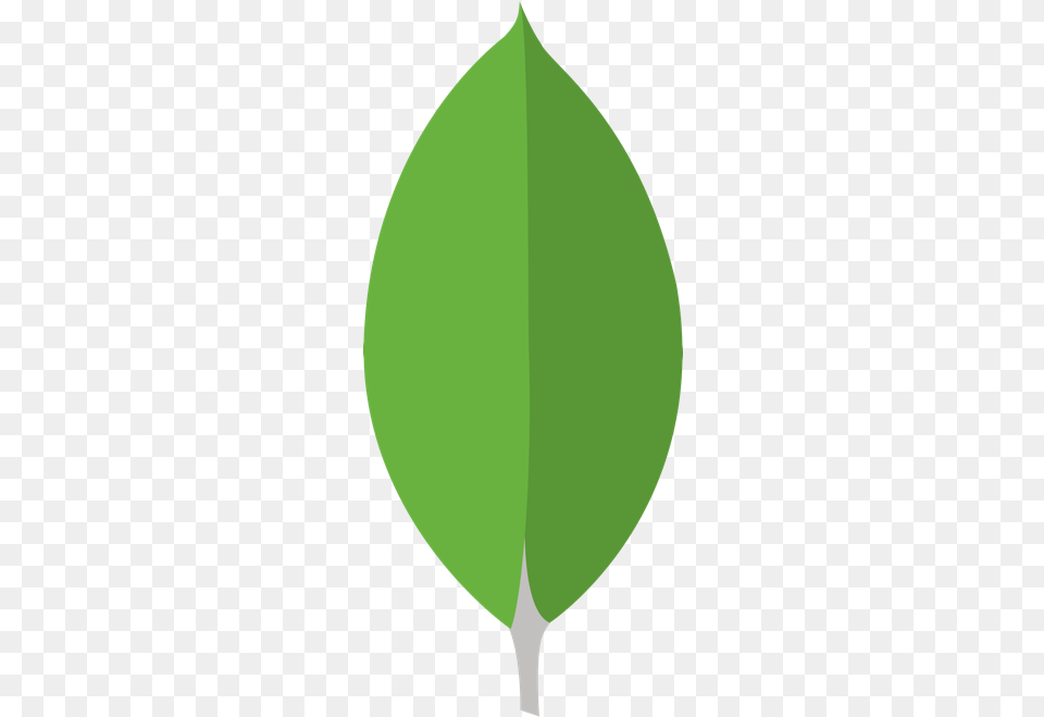 Our Products Database Mongodb Leaf, Plant, Person Free Png Download
