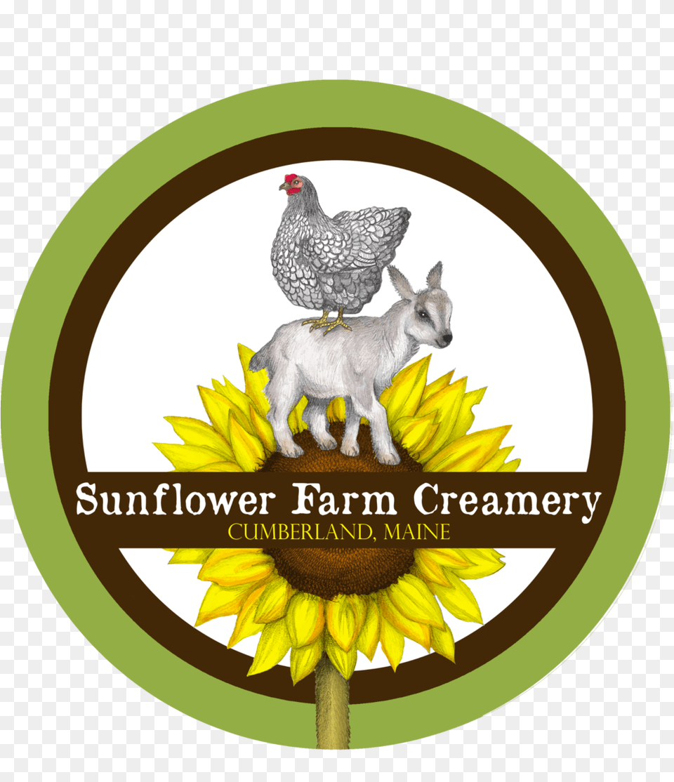 Our Products U2014 Sunflower Farm Creamery Sunflower Farm Maine, Animal, Bird, Chicken, Fowl Free Png