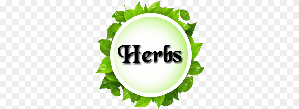 Our Products Vector Green Leaf, Plant, Herbal, Herbs, Plate Free Png Download