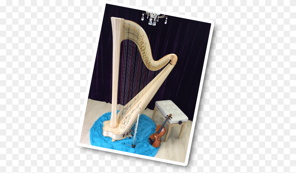 Our Professional Harpist, Musical Instrument, Harp, Violin Png Image