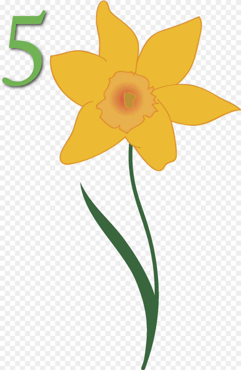 Our Pto Arranged For This Room Sized Map Of North America Narcissus, Daffodil, Flower, Plant Png Image