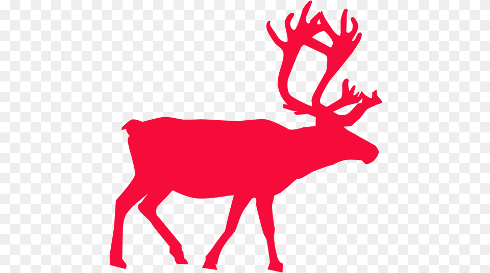 Our Reindeer Gower Fresh Christmas Trees Vector Reindeer And Santa, Animal, Deer, Mammal, Wildlife Free Png
