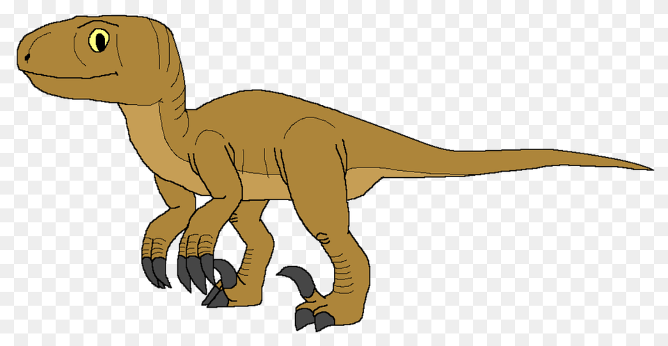 Our School Our Classes Velociraptor, Animal, Dinosaur, Reptile, T-rex Png