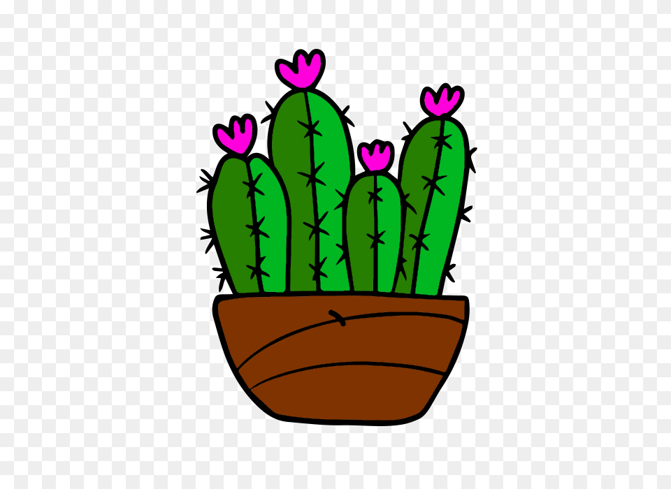 Our Service Botanic Room, Cactus, Plant, Animal, Bird Png Image